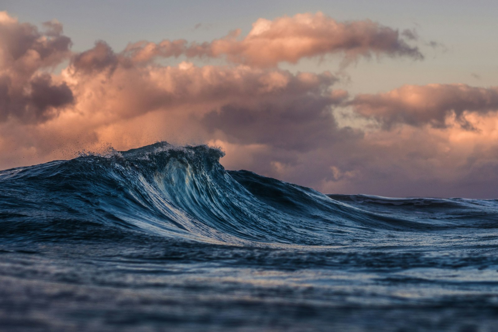 Tropical coast